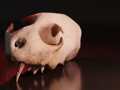 Cat Skull Free 3D model