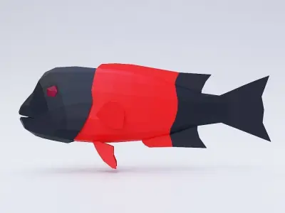 California sheep head fish 3d model  Low-poly 3D model