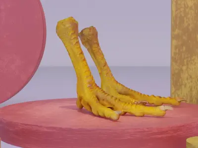 Pair chicken feet high-poly 3D model