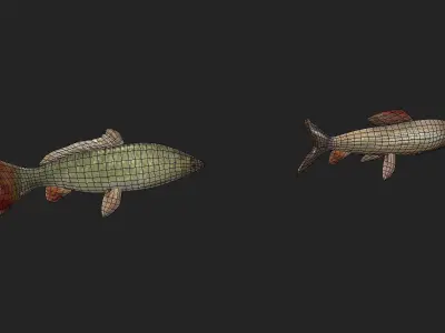 Fish Pack Low-poly 3D model
