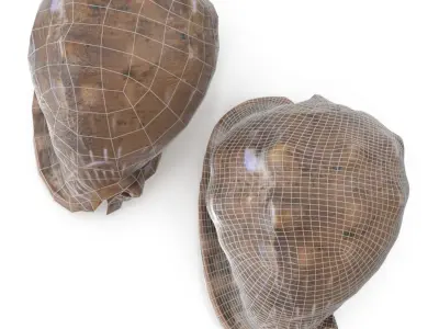 Shell 03 - Low and High Poly Versions Low-poly 3D model