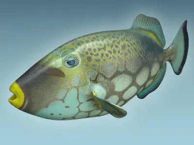 Trigerfish fish flying in sky 3D model