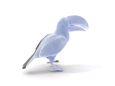 Vibrant Toucan Bird model pack Low-poly 3D model