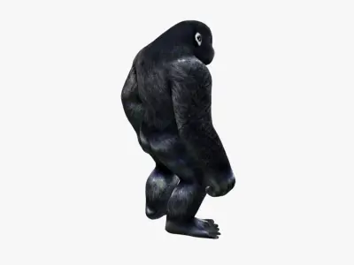 Gorilla Free 3D model