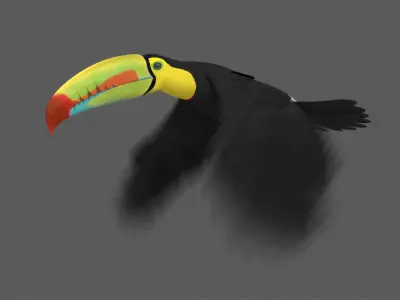 Keel-billed Toucan (Animated) 3D model