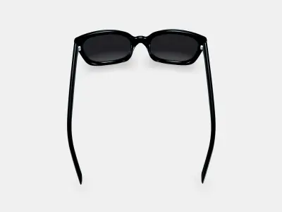 Aubrey Sunglasses in Jet Black Low-poly 3D model