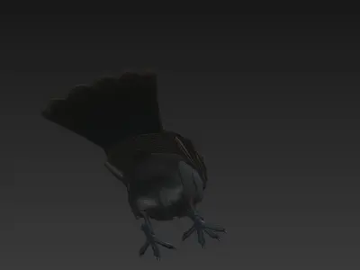 Crow Black Realistic 3D Model Basic - Low Poly Realistic Low-poly 3D model