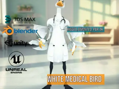 White Medical Bird Doctor model pack Low-poly 3D model