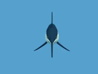 Low Poly Cartoon Swordfish Low-poly 3D model