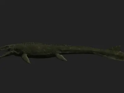 Mosasaurus Movie accurate 3D Model Low-poly 3D model