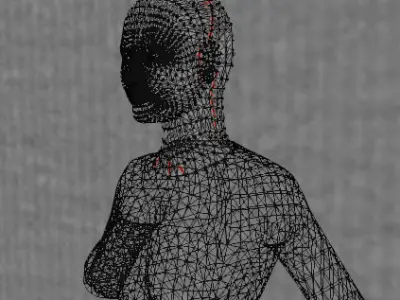 Female Face Sculpt Free low-poly 3D model