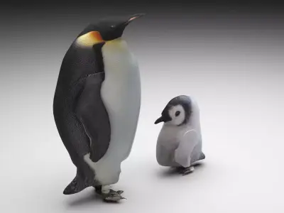 Penguins 3D model