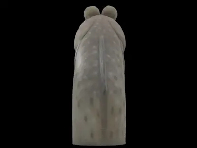 Mudskipper Sculpture 3D model