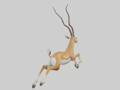 Springbok hopping model 3D model