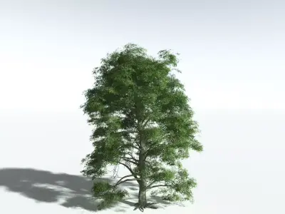 EVERYPlant Idiot Fruit Tree 3D model