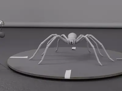 VFX Spider 3D Model 3D model
