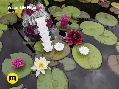 Water Lilly Pond Filter Media Free 3D print model