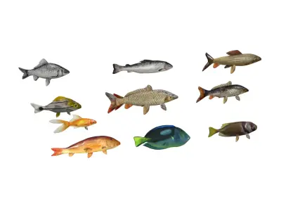 Fish Pack Low-poly 3D model