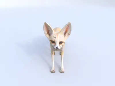 Fennec Fox 3D model