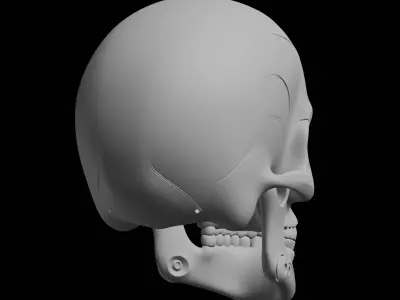 Cyber Skull Bust Model 3D print model