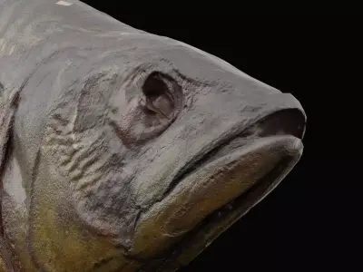 Fire Grilled Fish Low-poly 3D model