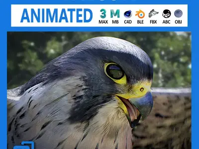 Animated Falcon 3D model