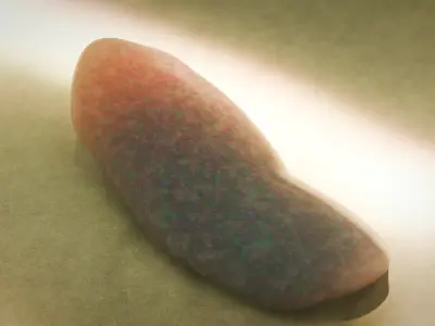  Odontogriphus Low-poly 3D model