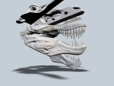 Exploded T-Rex Skull Free 3D print model