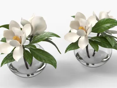Transparent Glass Vase with White Magnolia Flowers 3D model