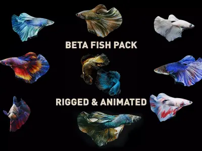 Beta fish pack - Rigged and animated Low-poly 3D model