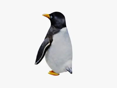 Penguin Free 3D model