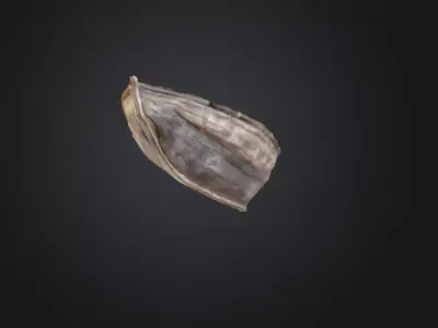 Wooden Boat Low-poly 3D model 8