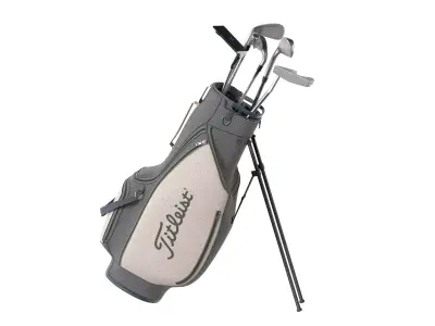 Golf Bag Clubs and Putter  Low-poly 3D model