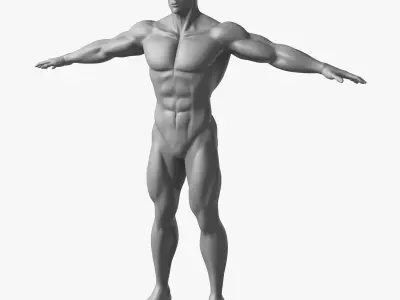 Muscle Male Basemesh 3D Model Base Body Anatomy 3D model