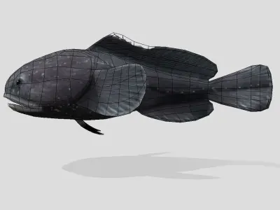 Blobfish Realistic Animated Low-poly 3D model