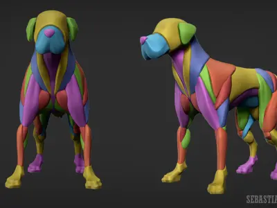 Stylized Basemesh Dog 3D model