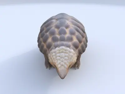Pangolin 3D model