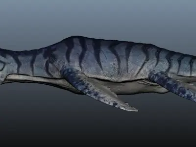 Liopleurodon dinosaur 3D model
