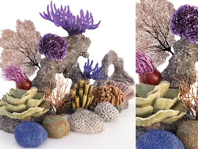 Coral Reef Collection 3D model