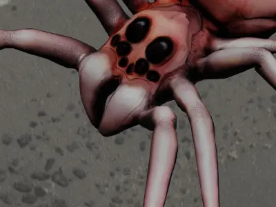 Spider Animated and Rigged  Low-poly 3D model