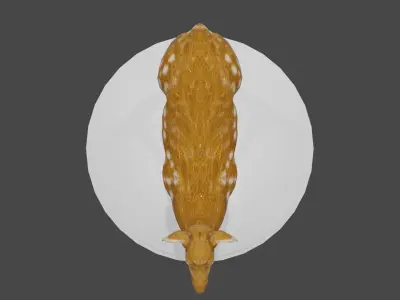 Doe Low Poly 3D Model deer Low-poly 3D model