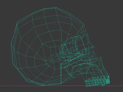 Skull Hominid 3D model