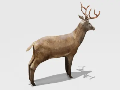 Deer Obj Blend 3D model