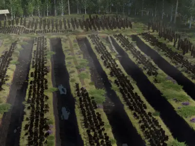 Traditional peat turf gathering kit Low-poly 3D model