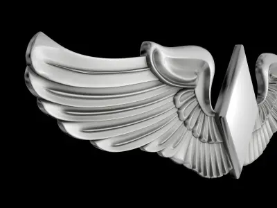 Women Airforce Service Pilots Wings Badge 3D model
