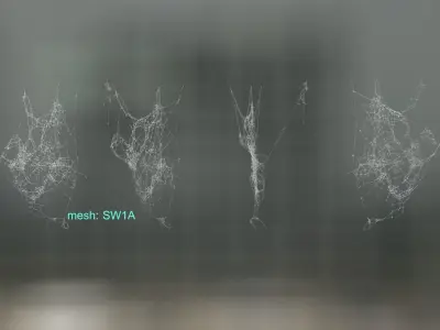 Spiderweb Bundle 3D model