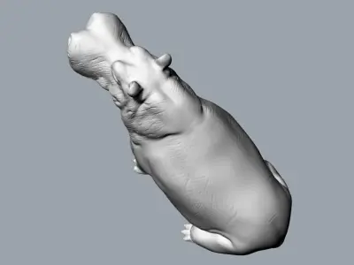hippopotamus Free 3D model