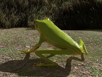Tree frog Low-poly 3D model