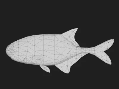 Elephantfish Low-poly 3D model