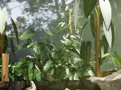 PHILODENDRON TROPICAL PLANTS COLLECTION PART 1 Low-poly 3D model